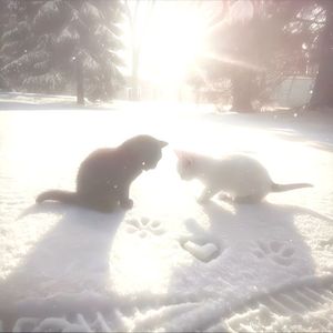 'photograph' 90s rnb × Jssr type beat