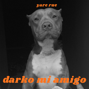 darko mi amigo