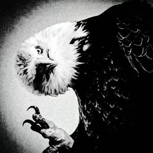 Brodyaga Funk （sped up&reverb）