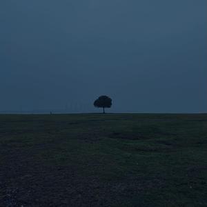 如果我们重蹈覆辙