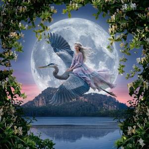 THE HONEYSUCKLE MOON (BODY SPIRIT MIND)