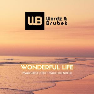 Wonderful Life (W&B Radio Edit)