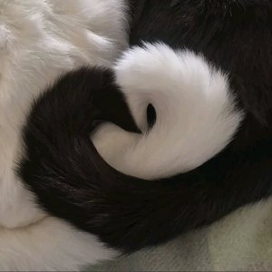 yAnneve（Autotune ver.）