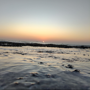 Through the trough(Instrument)