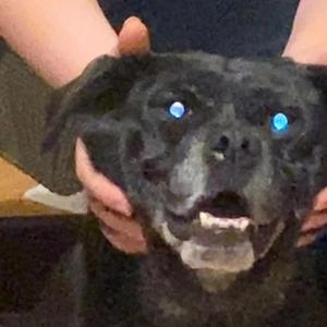 Camden (Art Bobb Remix)