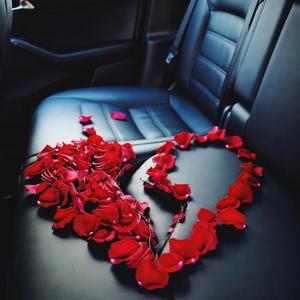 Backseat Promises