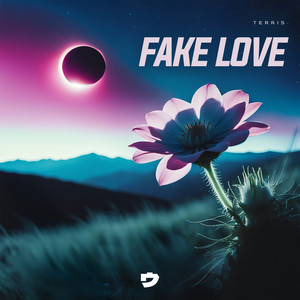 Fake Love