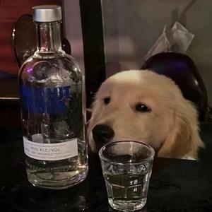 爱情有时很残忍(咚鼓版)x0.8降调