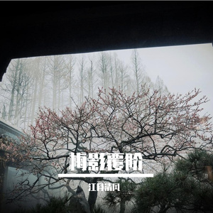 梅落晚庭