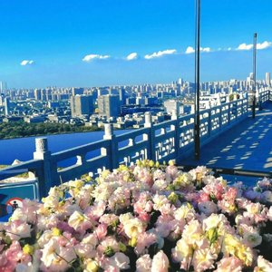 25年夏天热不热