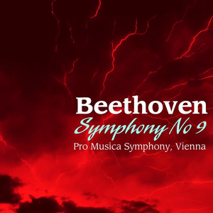 Symphony No. 9 in D Minor, Op. 125 'Choral': I. Allegro ma non troppo