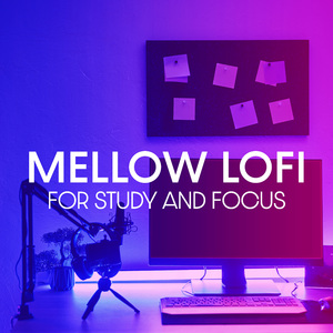 Lofi Instrumental Beats