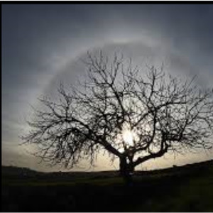 Cutter (Hiphop Style Mongol Throat Singing)