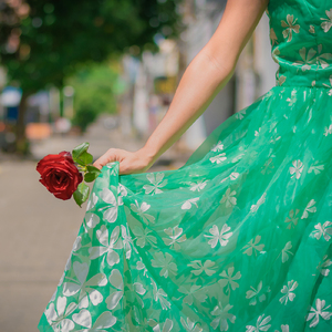 A Rosa e o Jardineiro