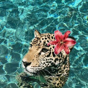 Solas (Slowed + Reverb)