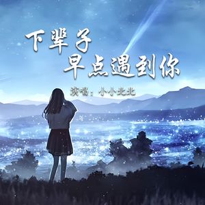 下辈子早点遇到你