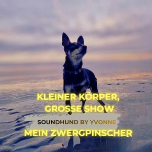 Kleiner Körper große Show (Mein Zwergpinscher)