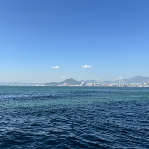 你的爱就像束缚