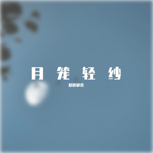 月笼轻纱-赵逊
