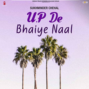 Peke Tur Jaungi Main