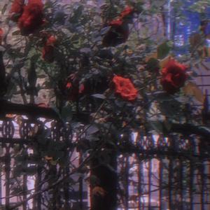 Cello:dead luv.[CD1]