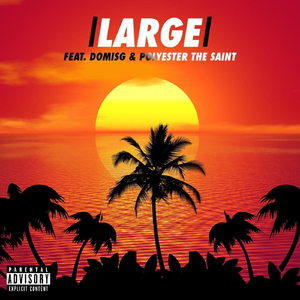 Large (feat. DomIsG & Polyester the Saint)