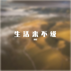 三年的等待(椰子版)