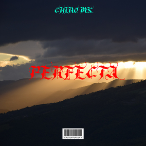 Perfecta
