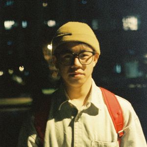 冬日森林的爱