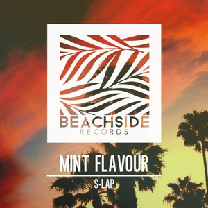 Mint Flavour (Original Mix)