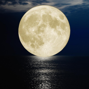 1 лунный день (Мелодекламация: лунный календарь,)