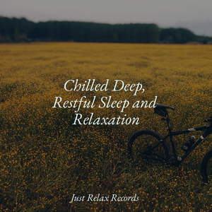 Melancholy Murmurs Among Ruins