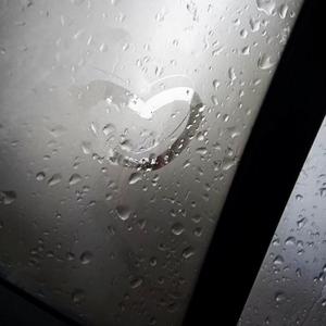 别让我放不下（0.8x）