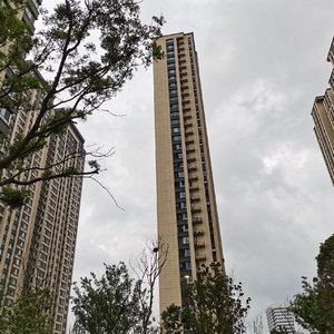 恭喜发财