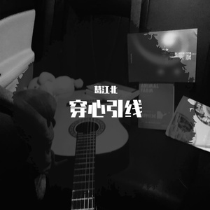 穿心引线