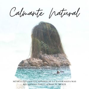 Música Zen para uma Mente Positiva
