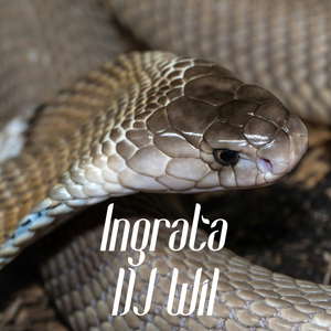 INGRATA
