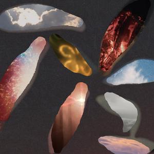 불타올라 불사르라!