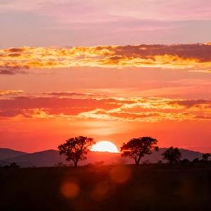 别让爱凋落 (Cover 王赫野 & 喻言)