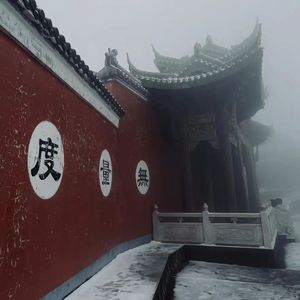 凤栖昨日花
