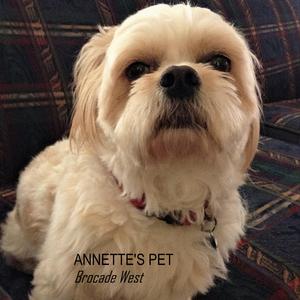 Annette's Pet