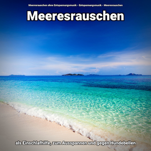 Beflügelnde Sounds