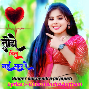 Todo dil nai sal pe