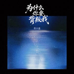 为什么你要背叛我