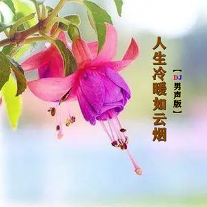 人生冷暖如云烟DJ