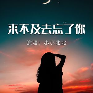 来不及去忘了你