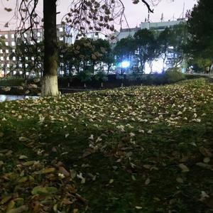 星星眨眼睛(Prod.by Mr.Ning/Skyla.J)