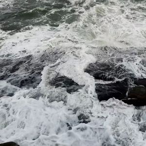 % （Morrow x Sigimura）