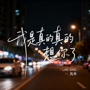 我是真的真的想你了