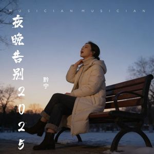 夜晚告别2025